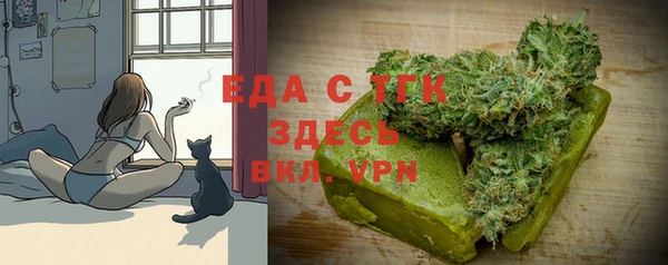 spice Богородицк